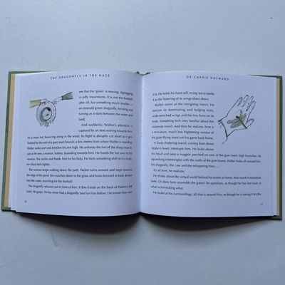 Full Color Child Book Printing Service With Section Sewn Casebound Binding