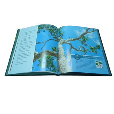 Catching Air Taking The Leap With Gliding Animals | Professional Hardcover Children'S Book Printing For Scientific Read